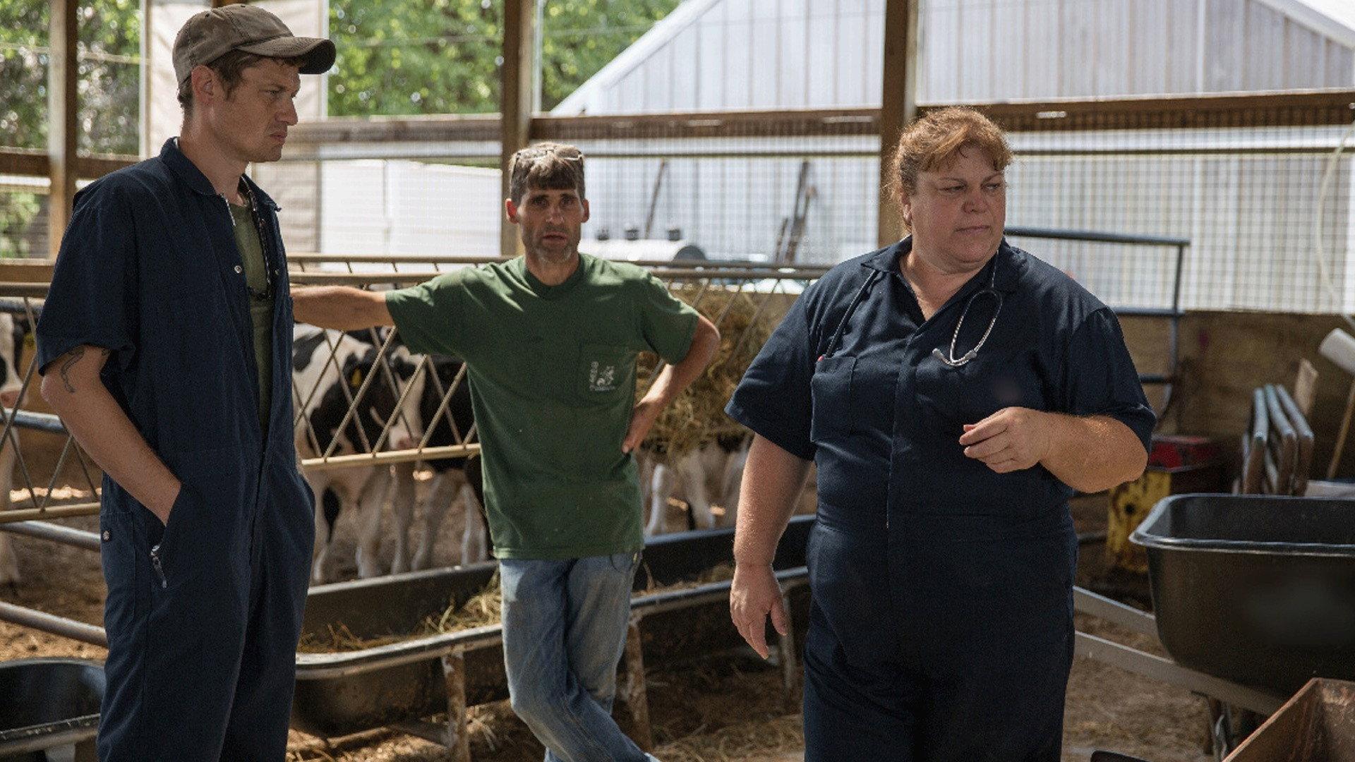 Still from Moo in Town