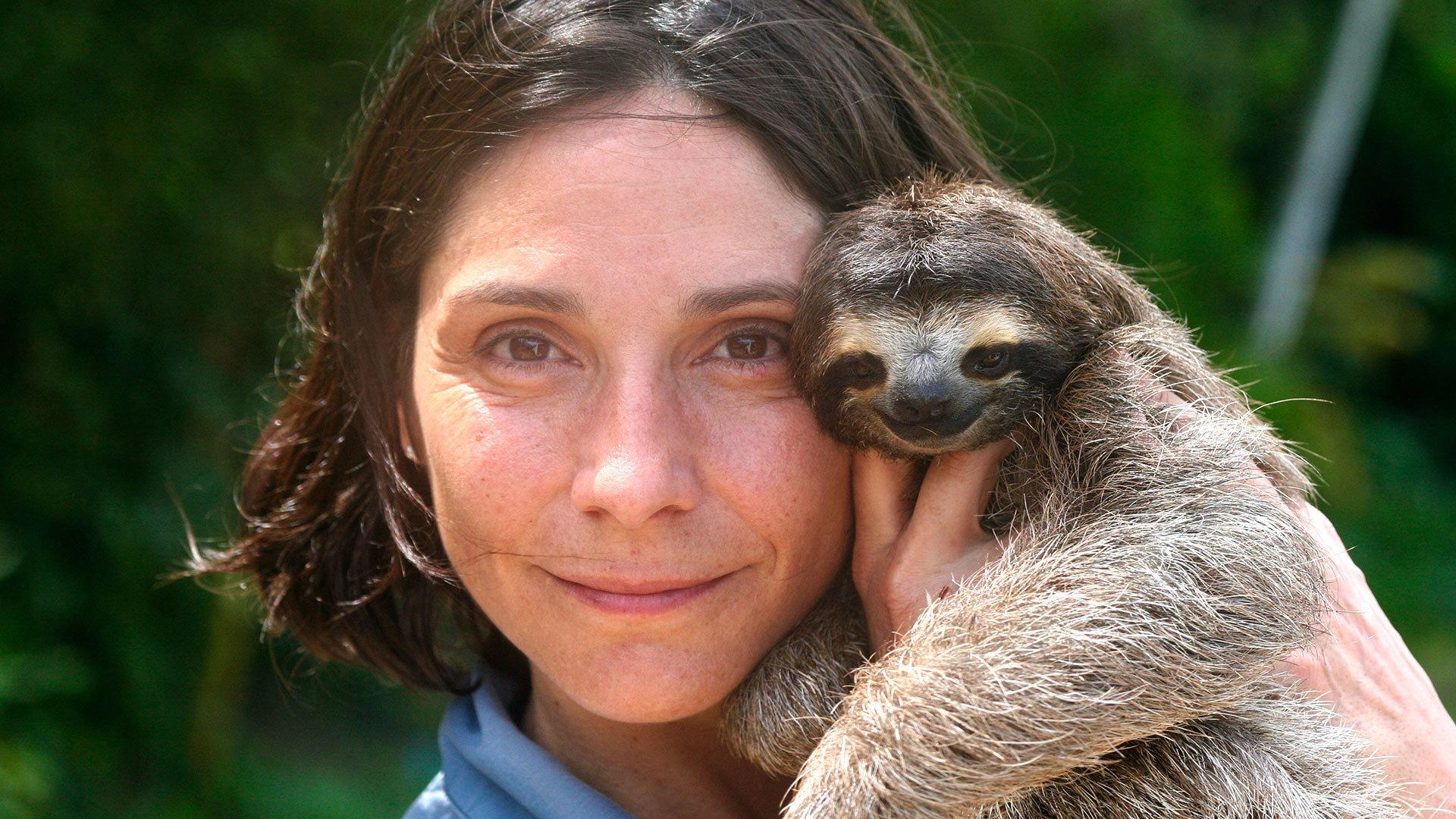 Still from A Sloth Named Velcro