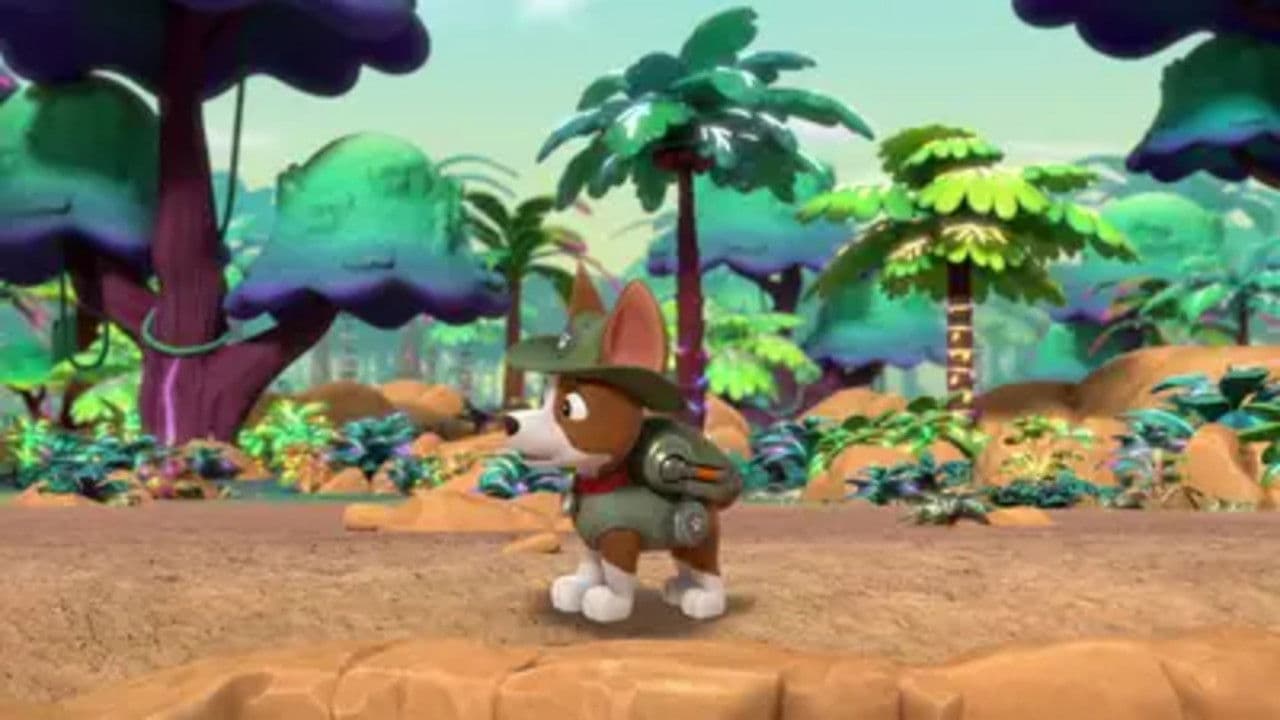 Still from Jungle Pups: Pups Find a Hidden Jungle