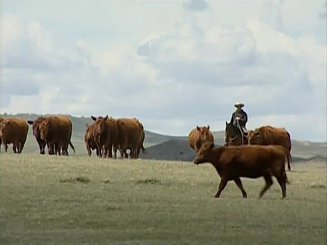 Still from Cowboy Tech