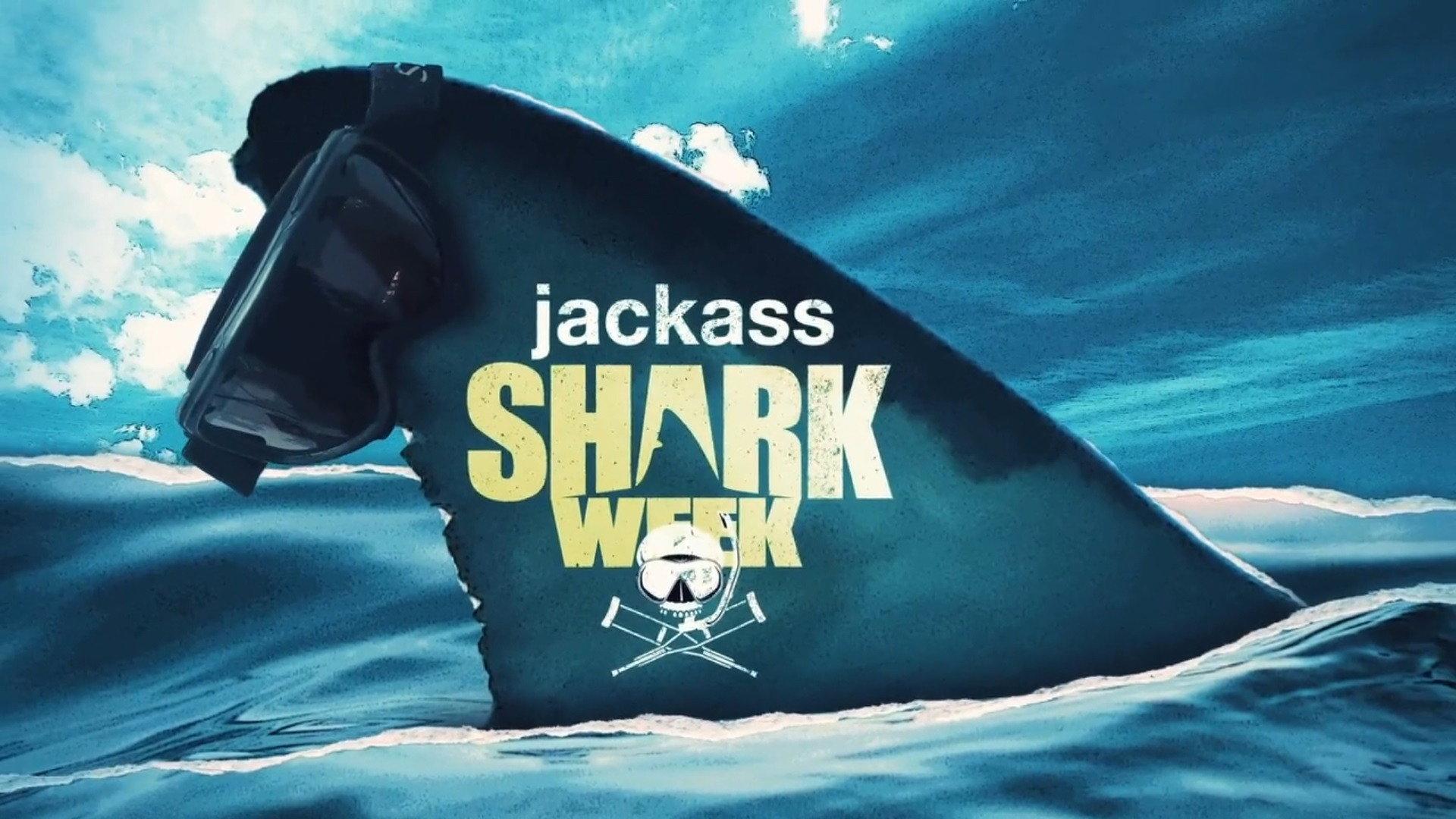 Still from Shark Week 1.0
