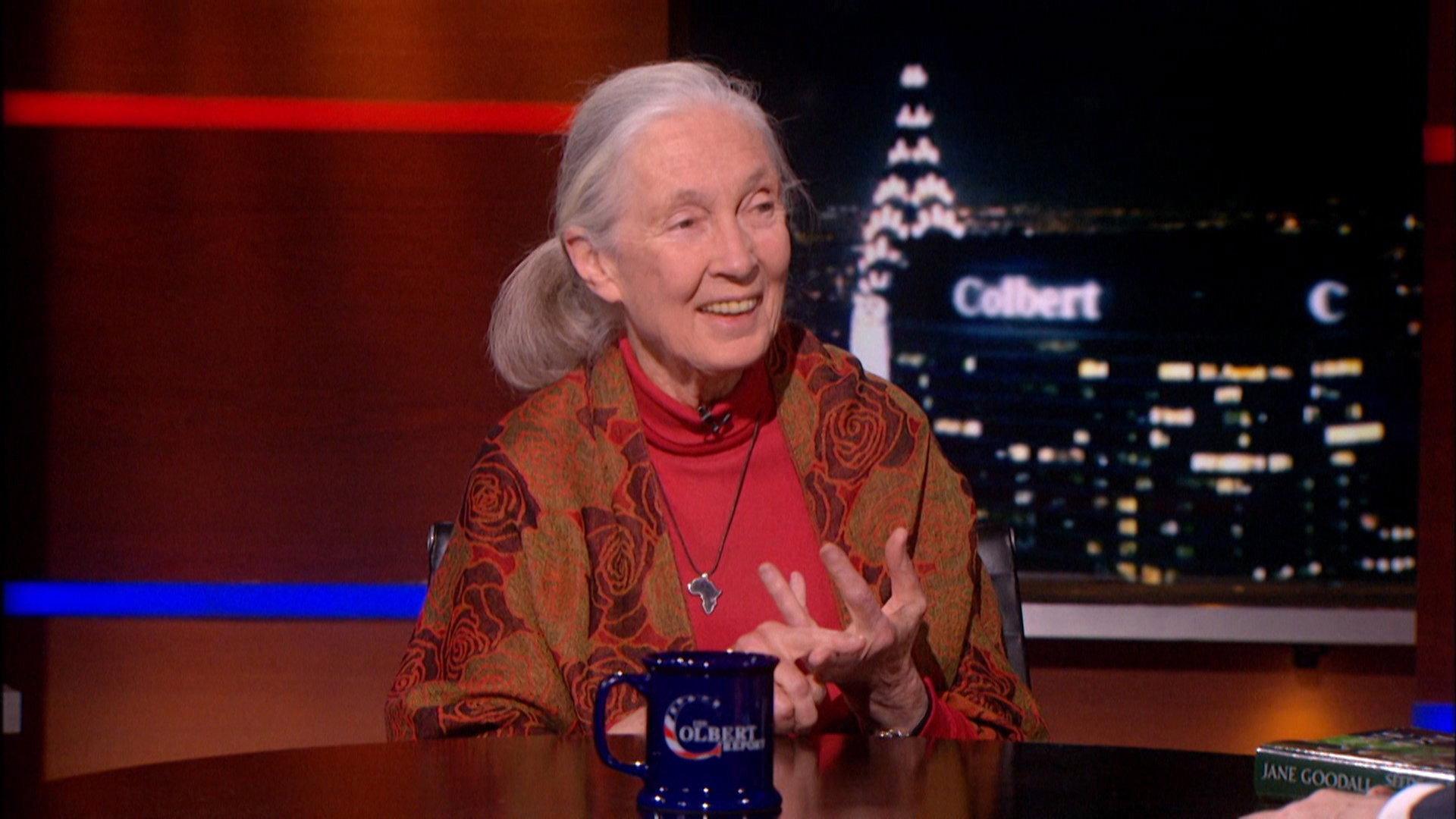 Still from Jane Goodall