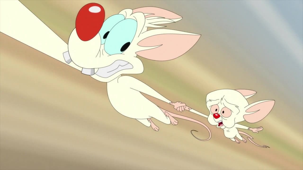 Still from Happy Narfday