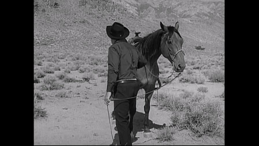 Still from The Golden Toad