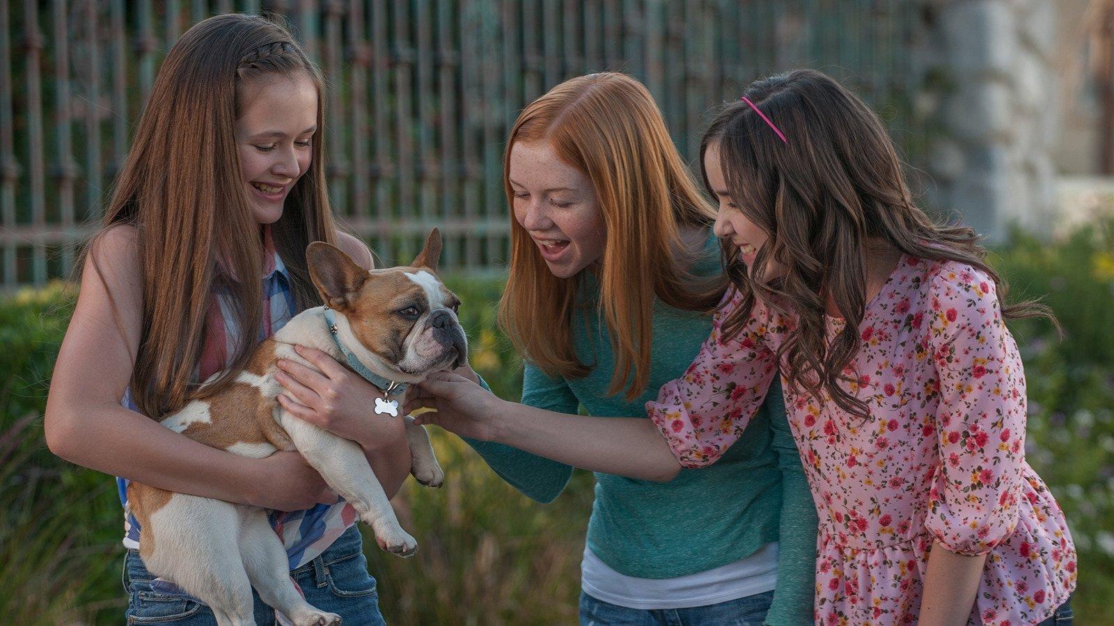 Still from Just Add Dogs