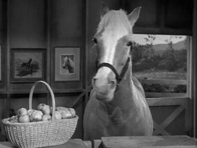 Still from The Price of Apples