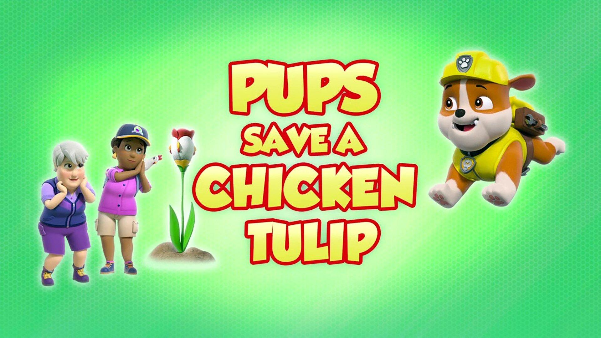 Still from Pups Save a Chicken Tulip
