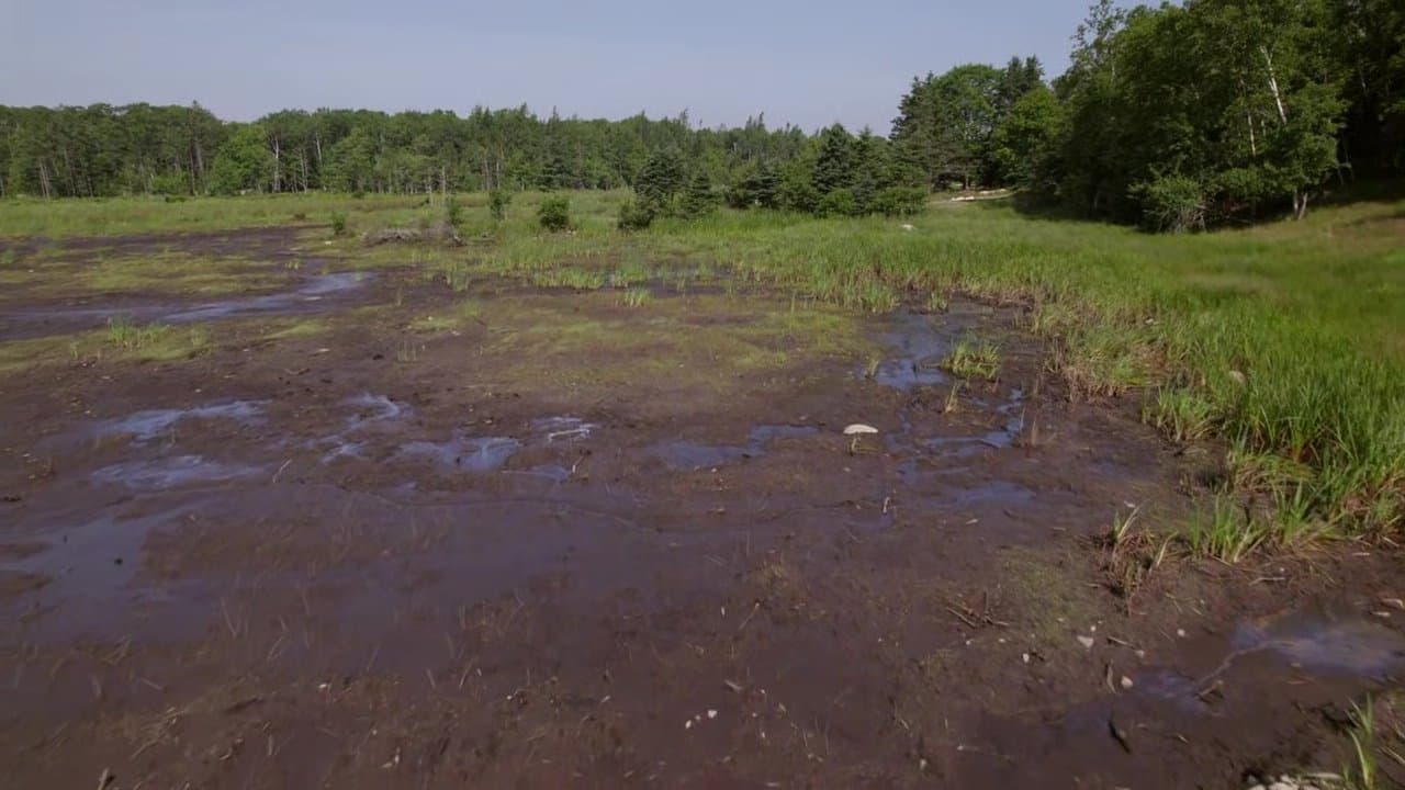 Still from Digging Back In