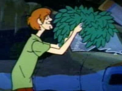 Still from Shaggy Busted