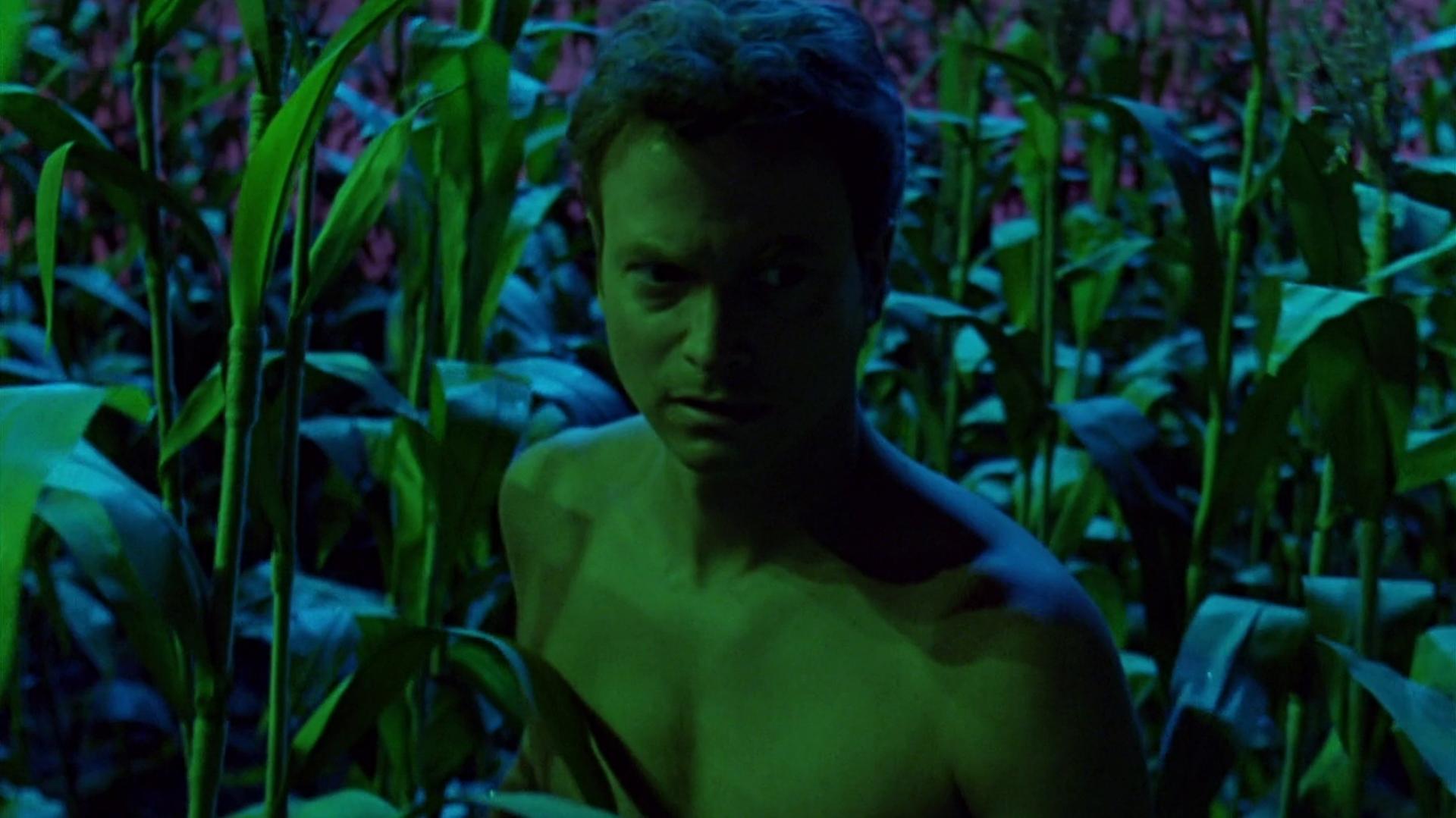 Still from The Dreams