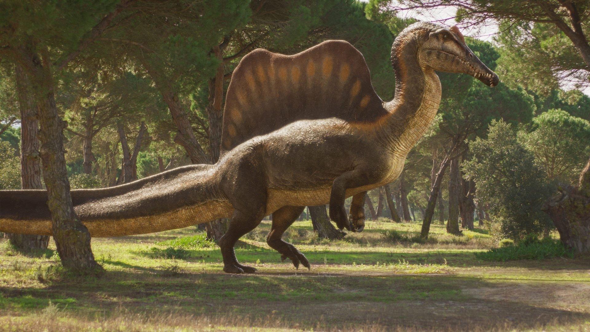Still from The River Dragon