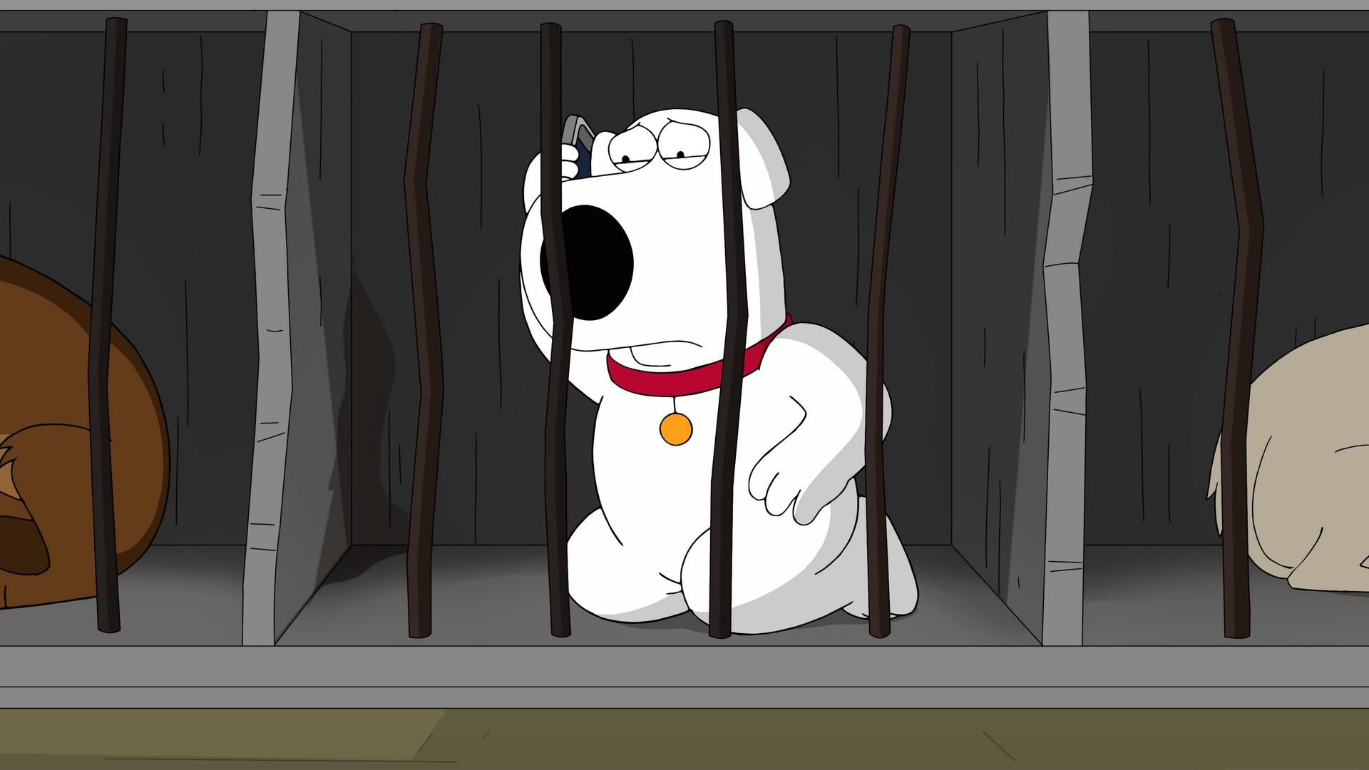 Still from The Woof of Wall Street