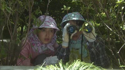 Still from A Fork in the Path of Love