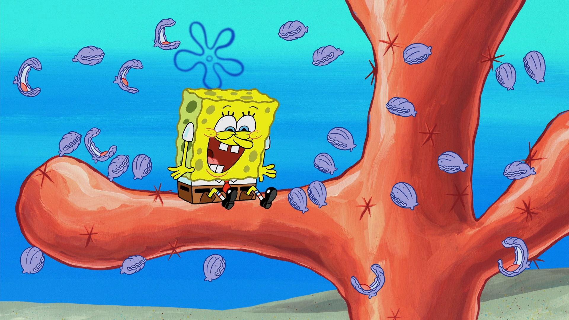 Still from The Clam Whisperer