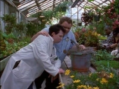 Still from A Few Bad Seeds