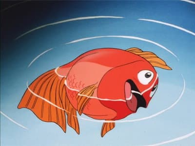 Still from I Was a Cat, I Was a Fish