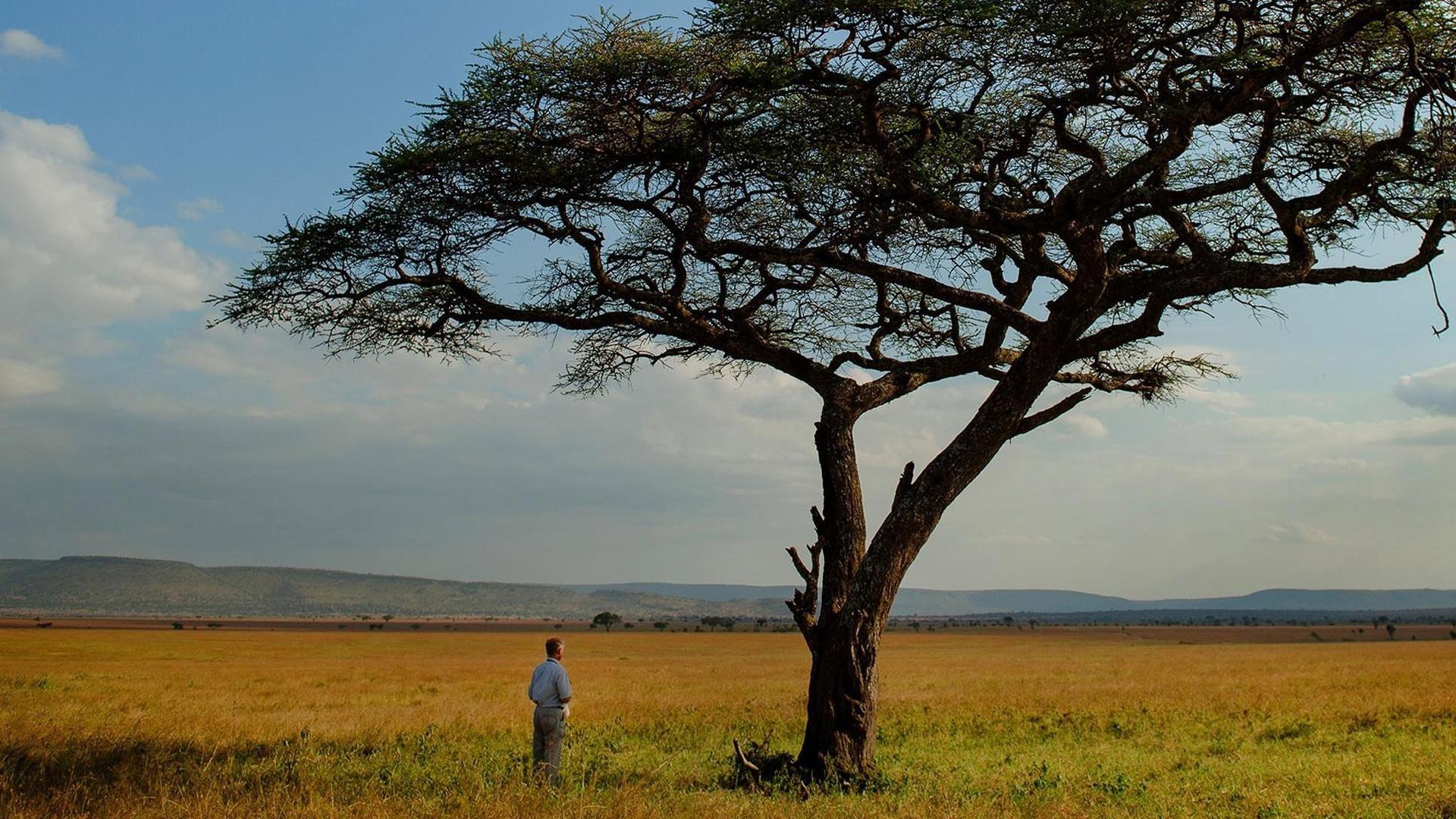 Still from The Serengeti Rules