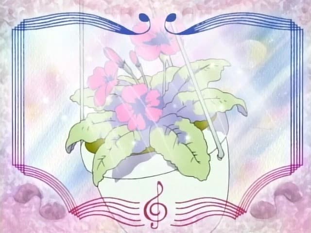 Still from You Don't Bring Me Flowers