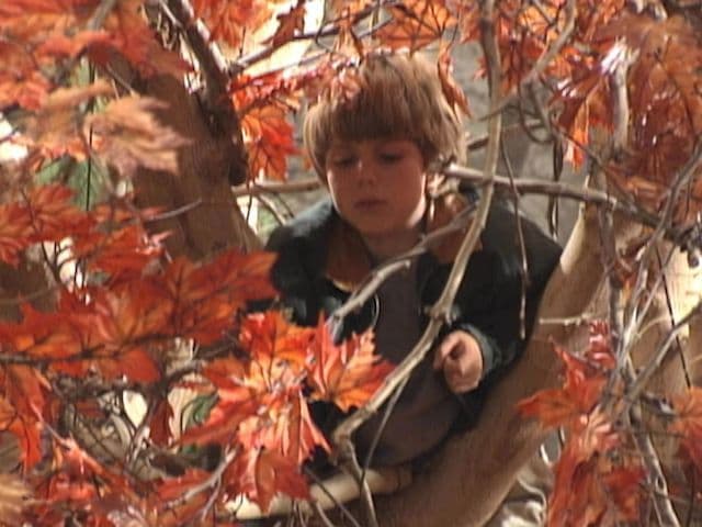 Still from Where There's a Will, There's a Way