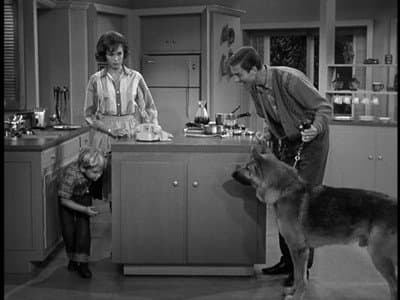 Still from The Unwelcome Houseguest