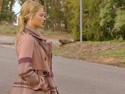 Still from Episode 6043