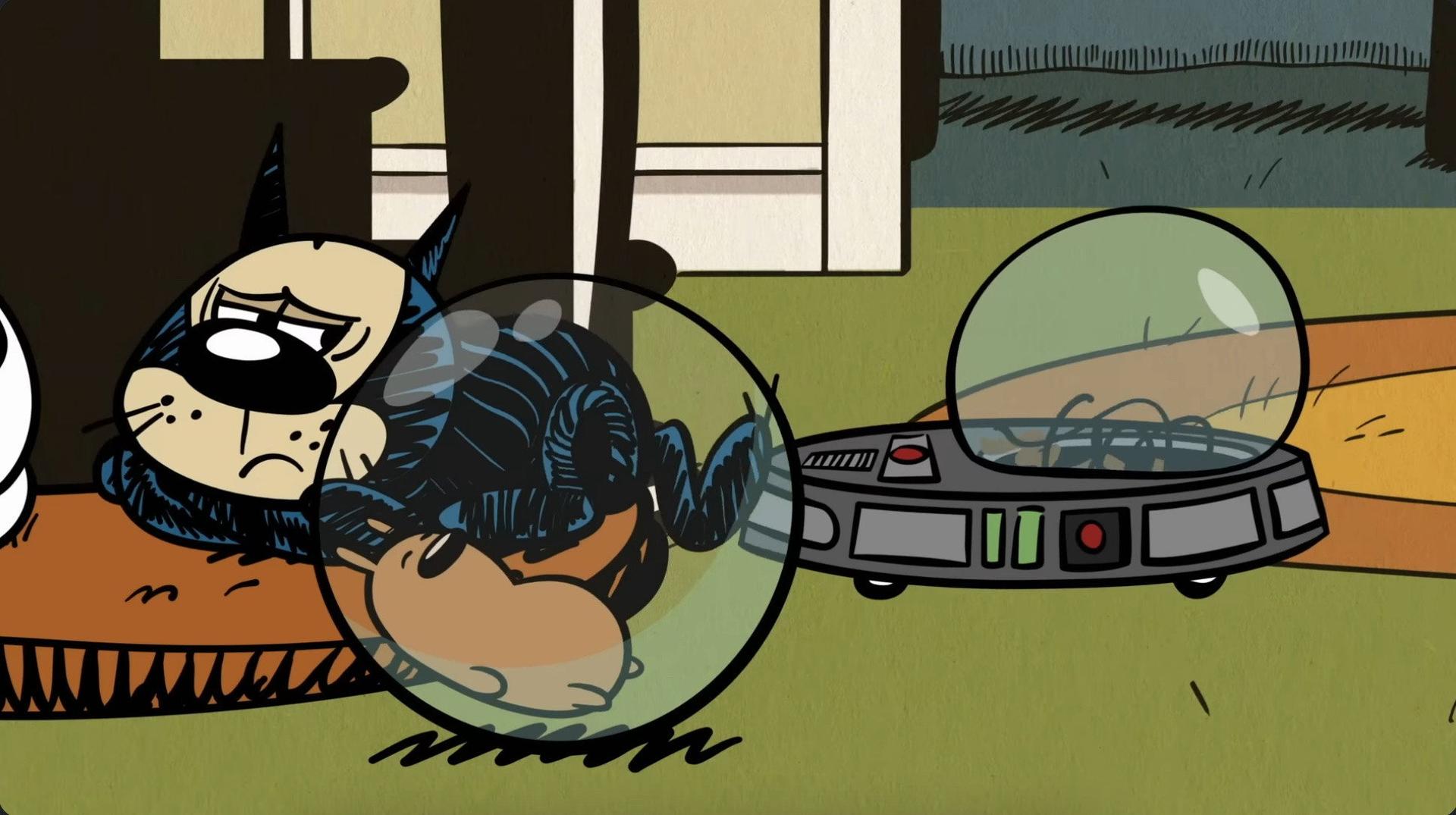 Still from So Long Sucker