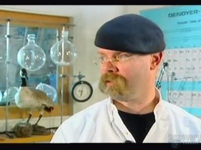 Still from Scuba Diver and Car Capers