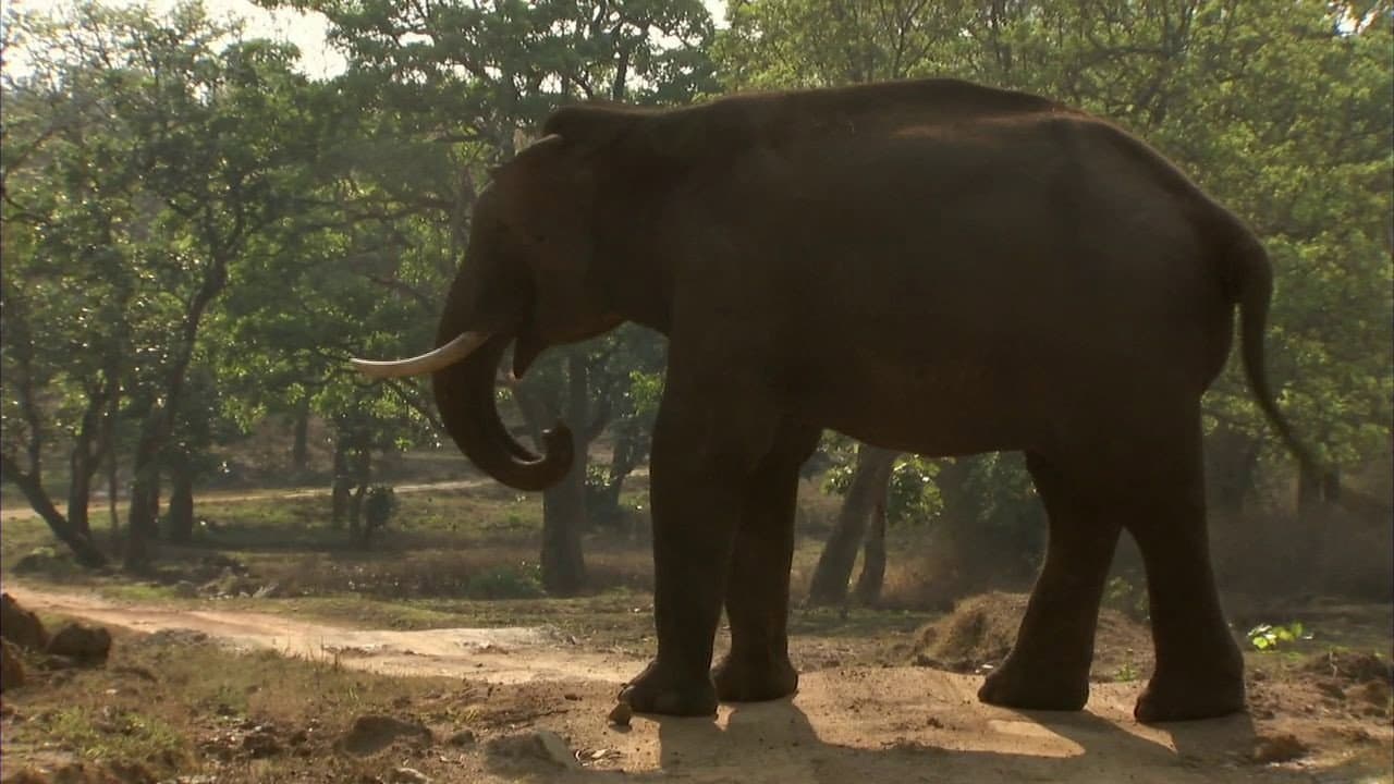 Still from The Mountains of the Monsoon