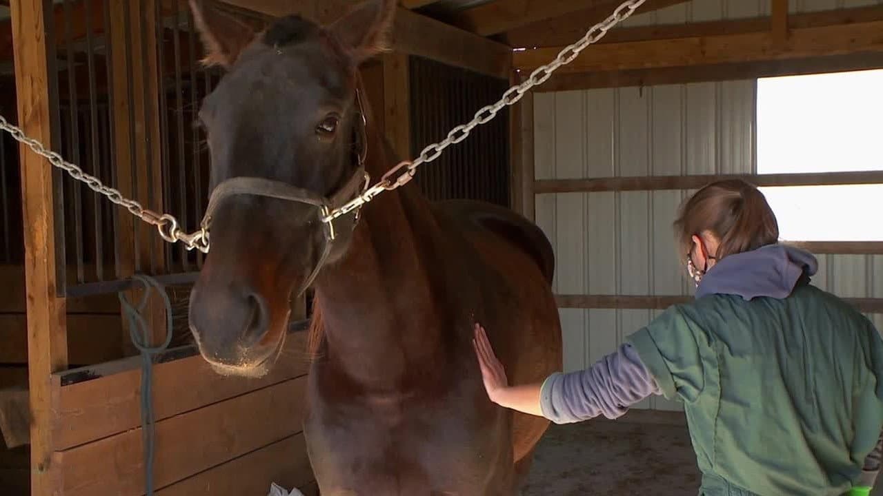 Still from Cold Your Horses