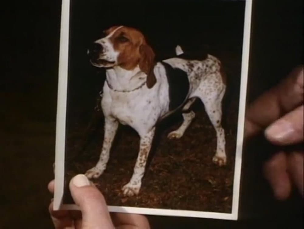 Still from Little Dog, Gone