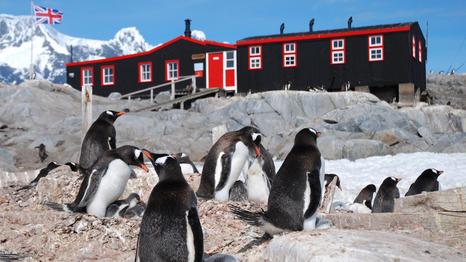 Still from Penguin Post Office