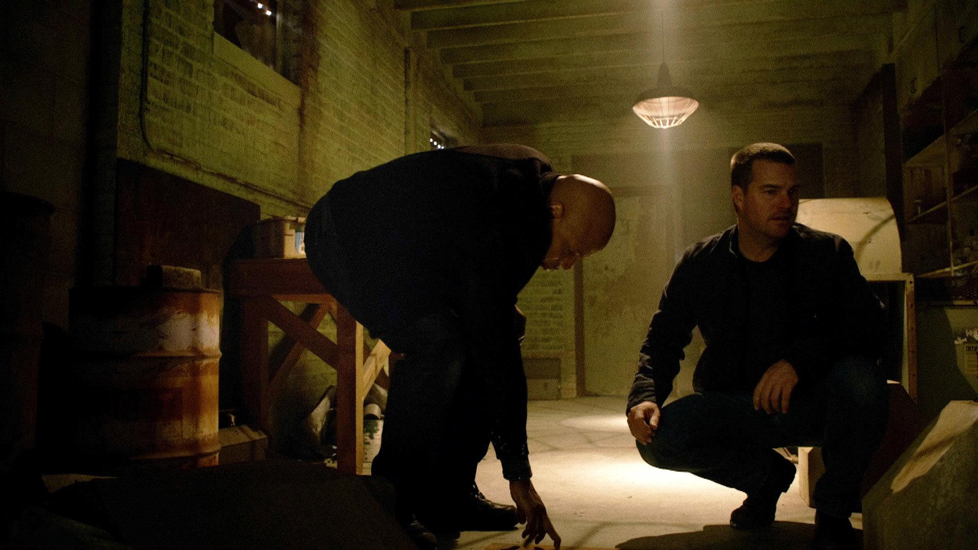 Still from Forest for the Trees