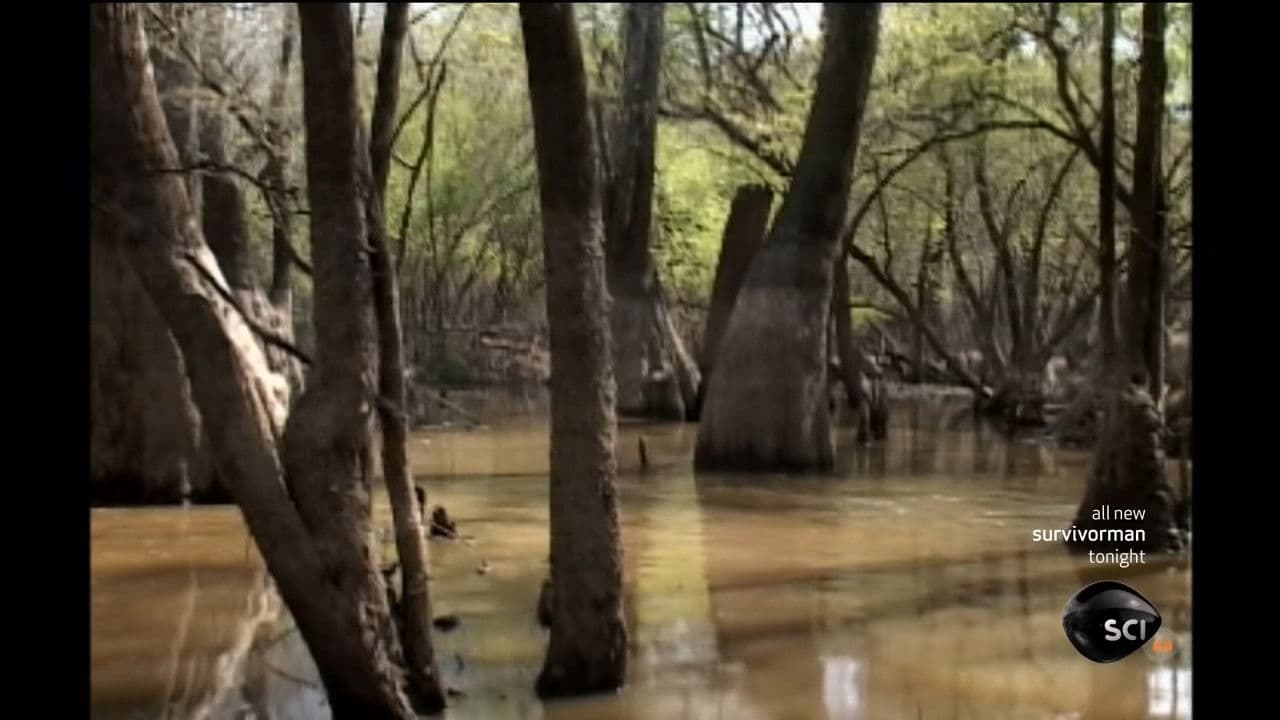 Still from Georgian Swamp