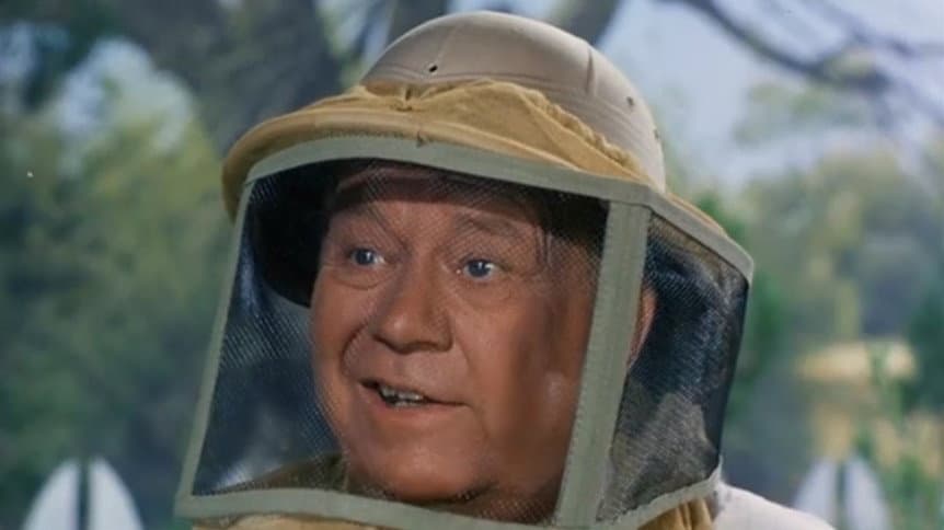 Still from All That Buzzes Ain't Bees