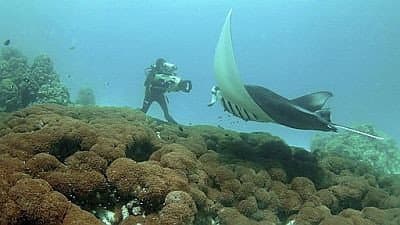 Still from Andrea - Queen Of Mantas