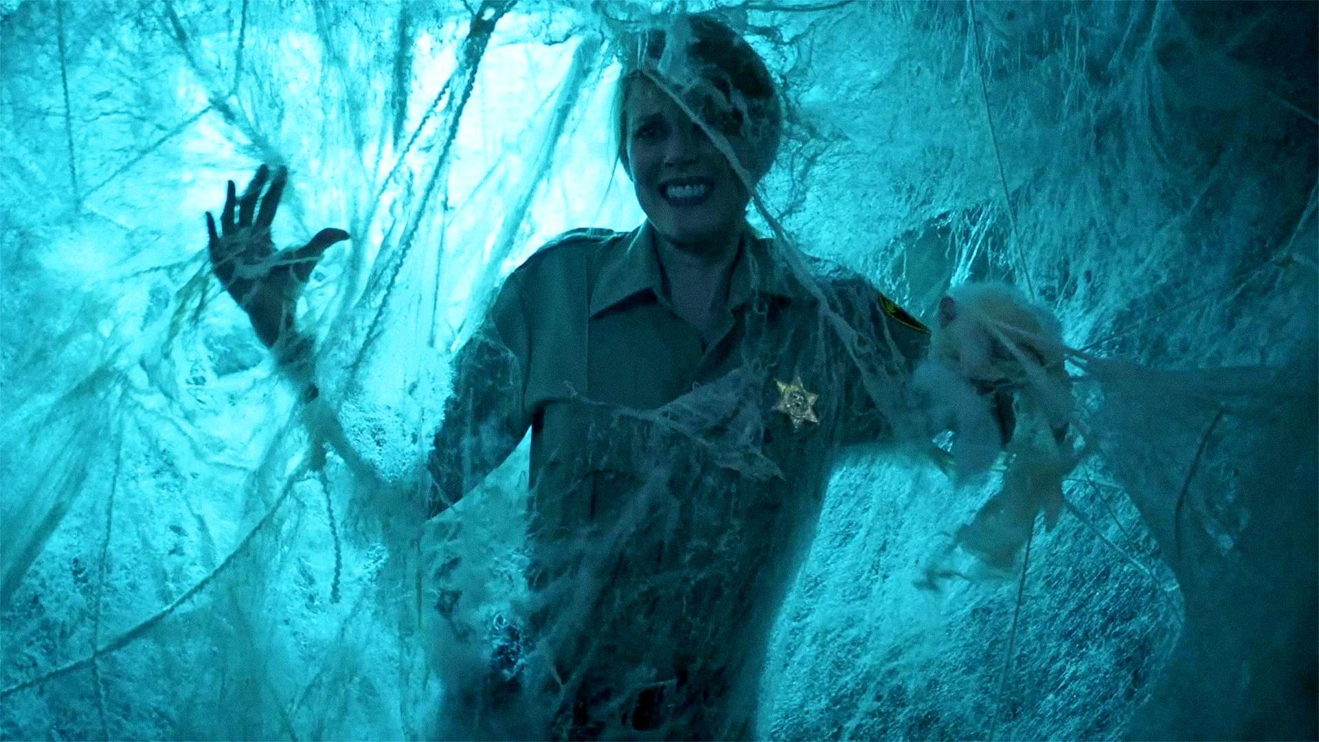 Still from Spider Walk With Me