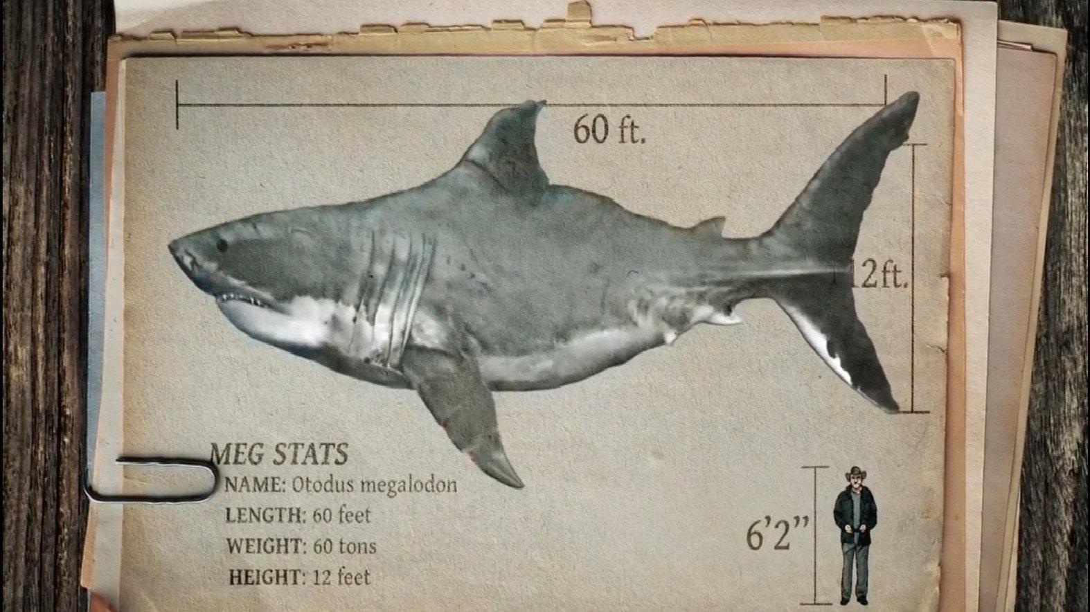 Still from Expedition Unknown: Megalodon