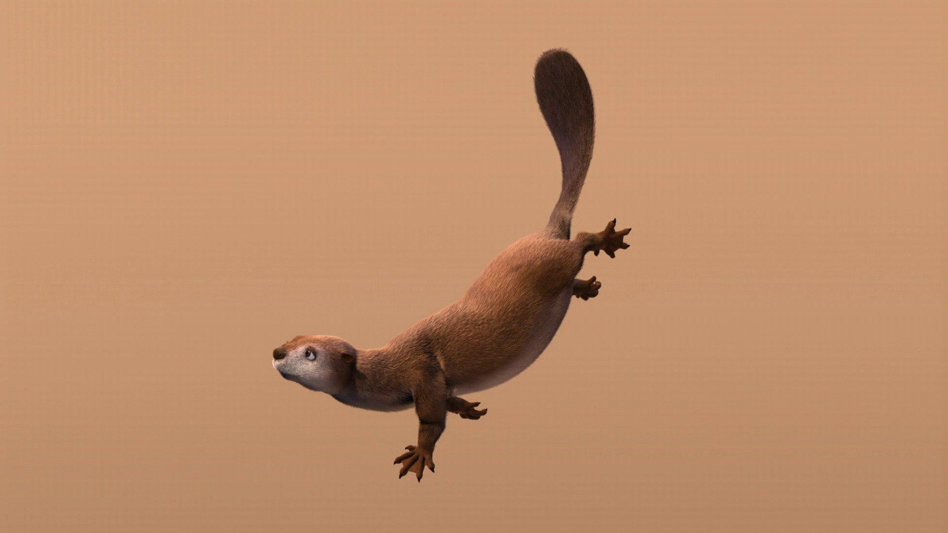 Still from Tiny's Fishing Friend