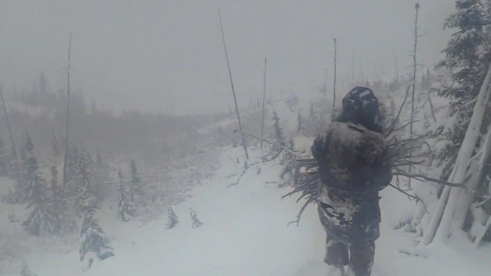 Still from Fight, Flight or Freeze