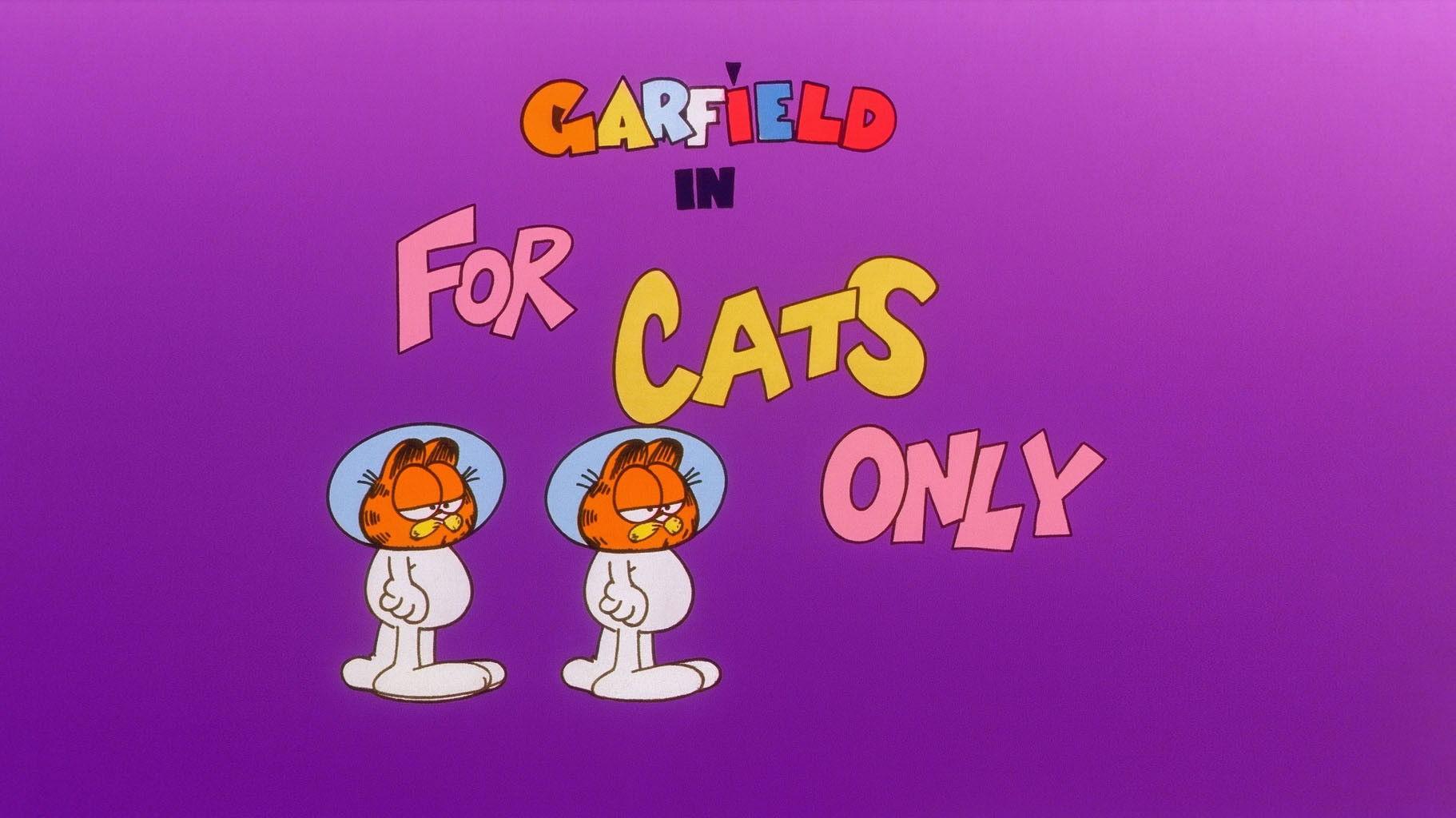 Still from For Cats Only
