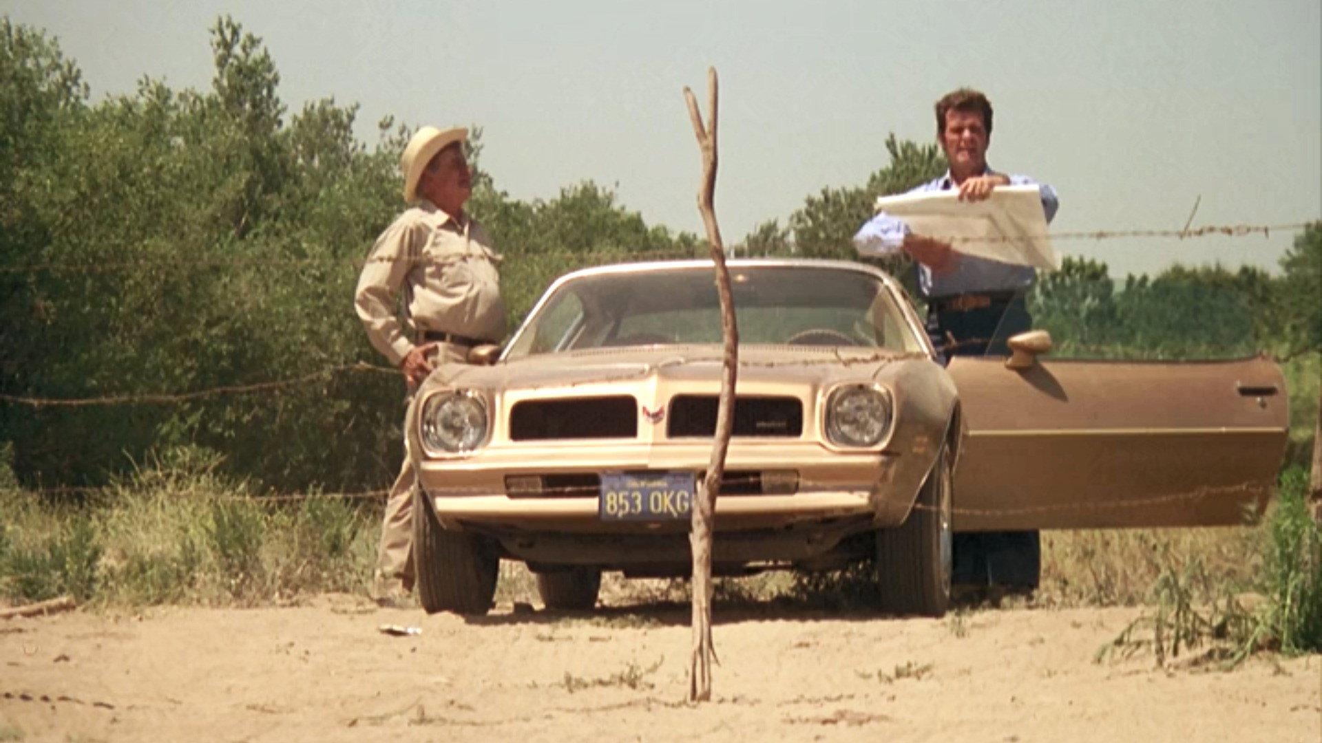 Still from Coulter City Wildcat