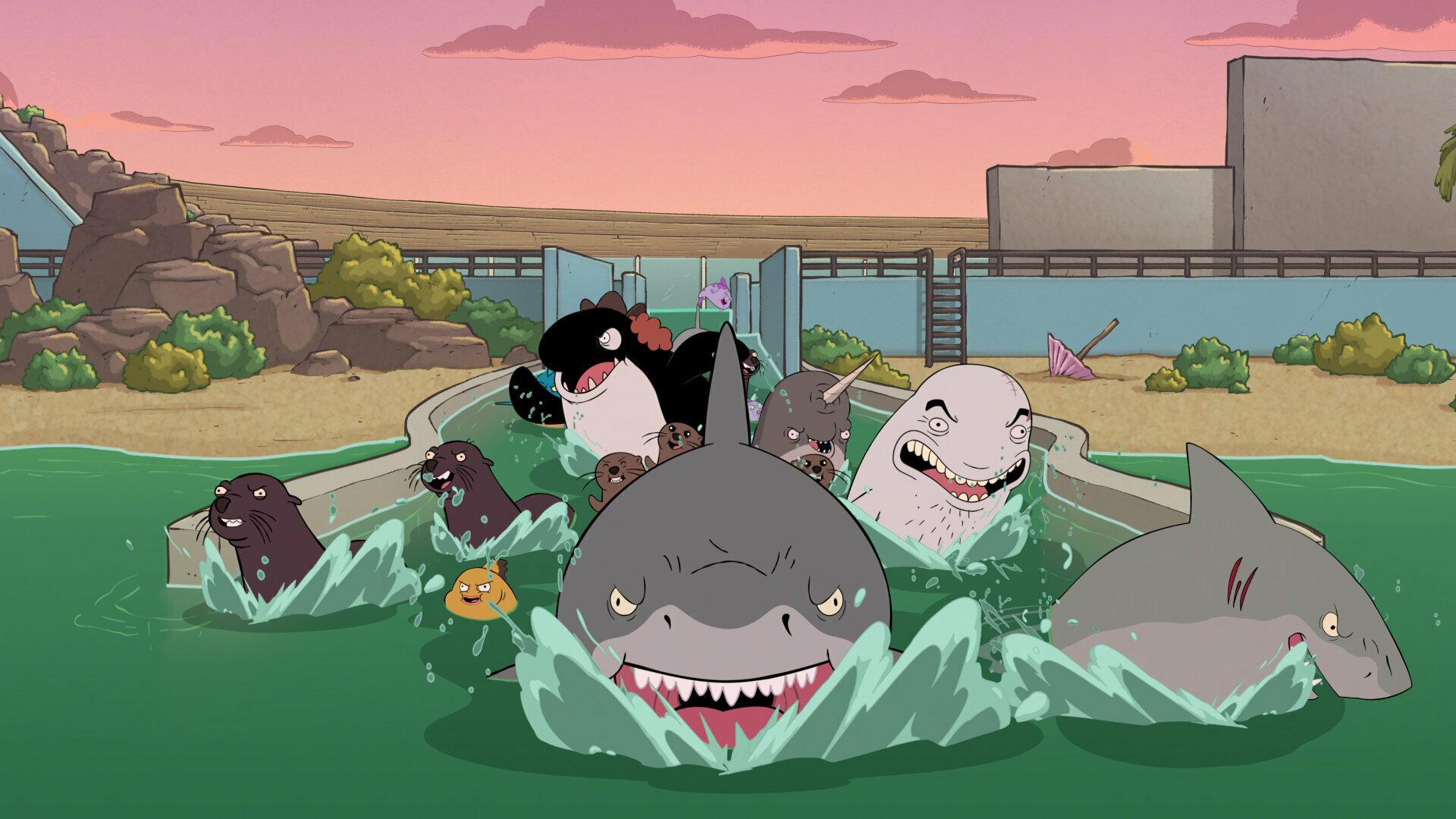 Still from SeaWorld Is Hell