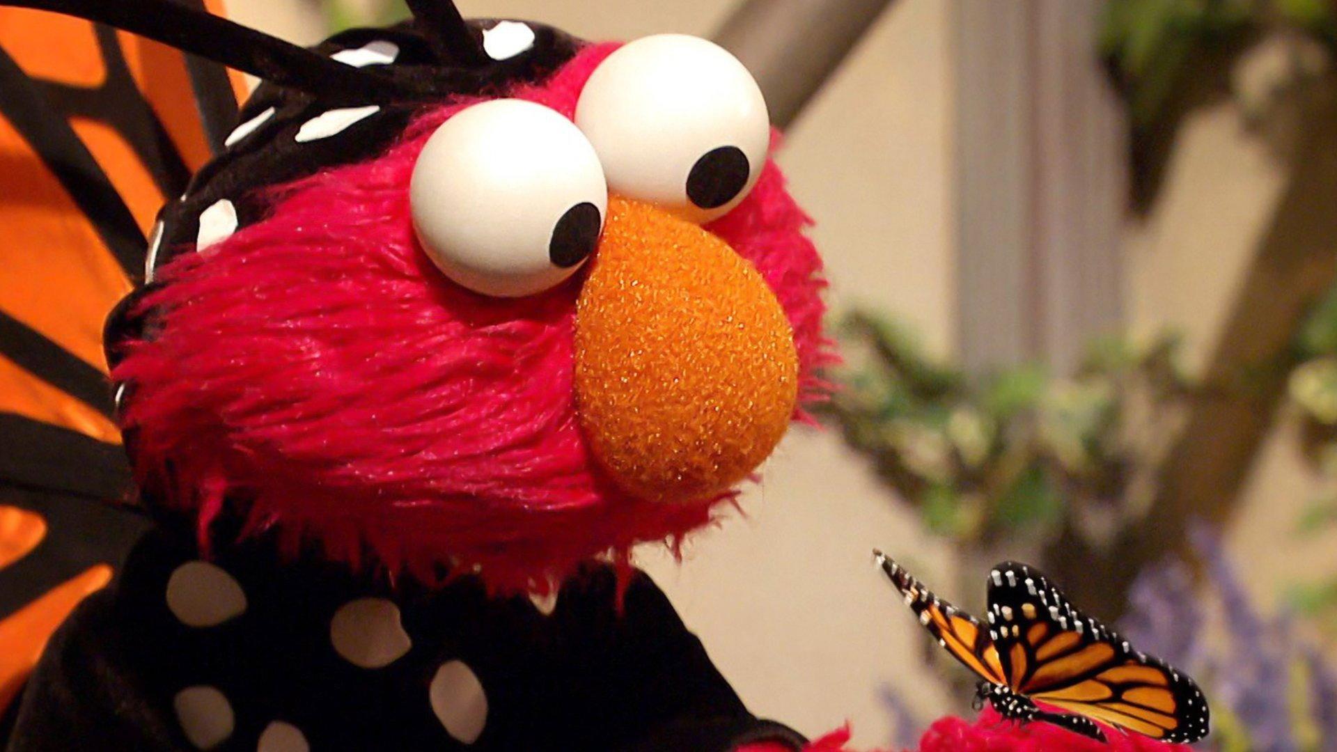Still from Elmo's Butterfly Friend