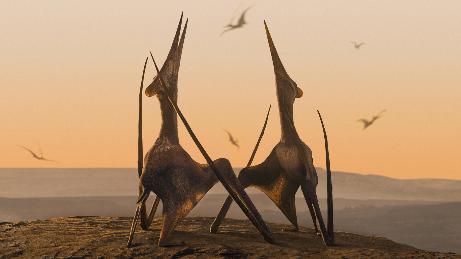 Still from Deserts