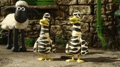 Still from Zebra Ducks Of The Serengeti