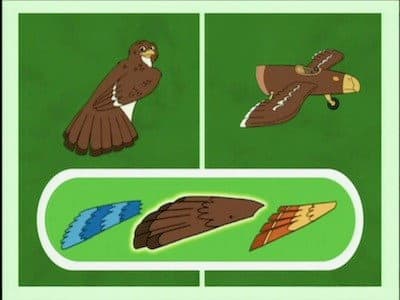 Still from Jorge the Little Hawk Learns to Migrate
