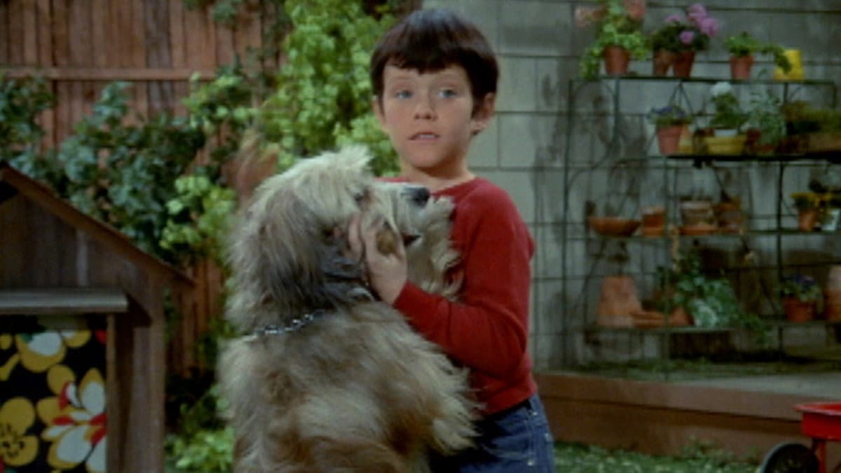 Still from Tiger, Tiger!
