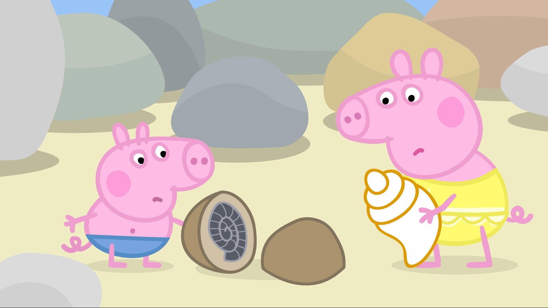 Still from Rock Pools
