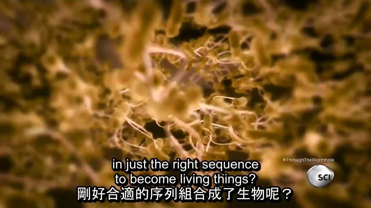 Still from Are We Here for a Reason?