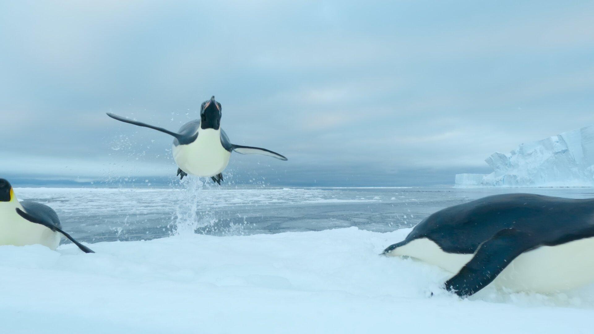 Still from Southern Ocean